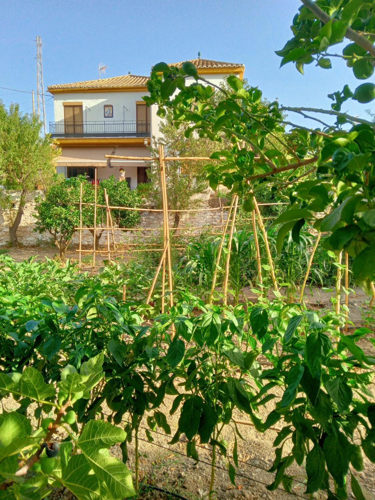 UgijarTuguest Hortichuela House别墅 外观 照片