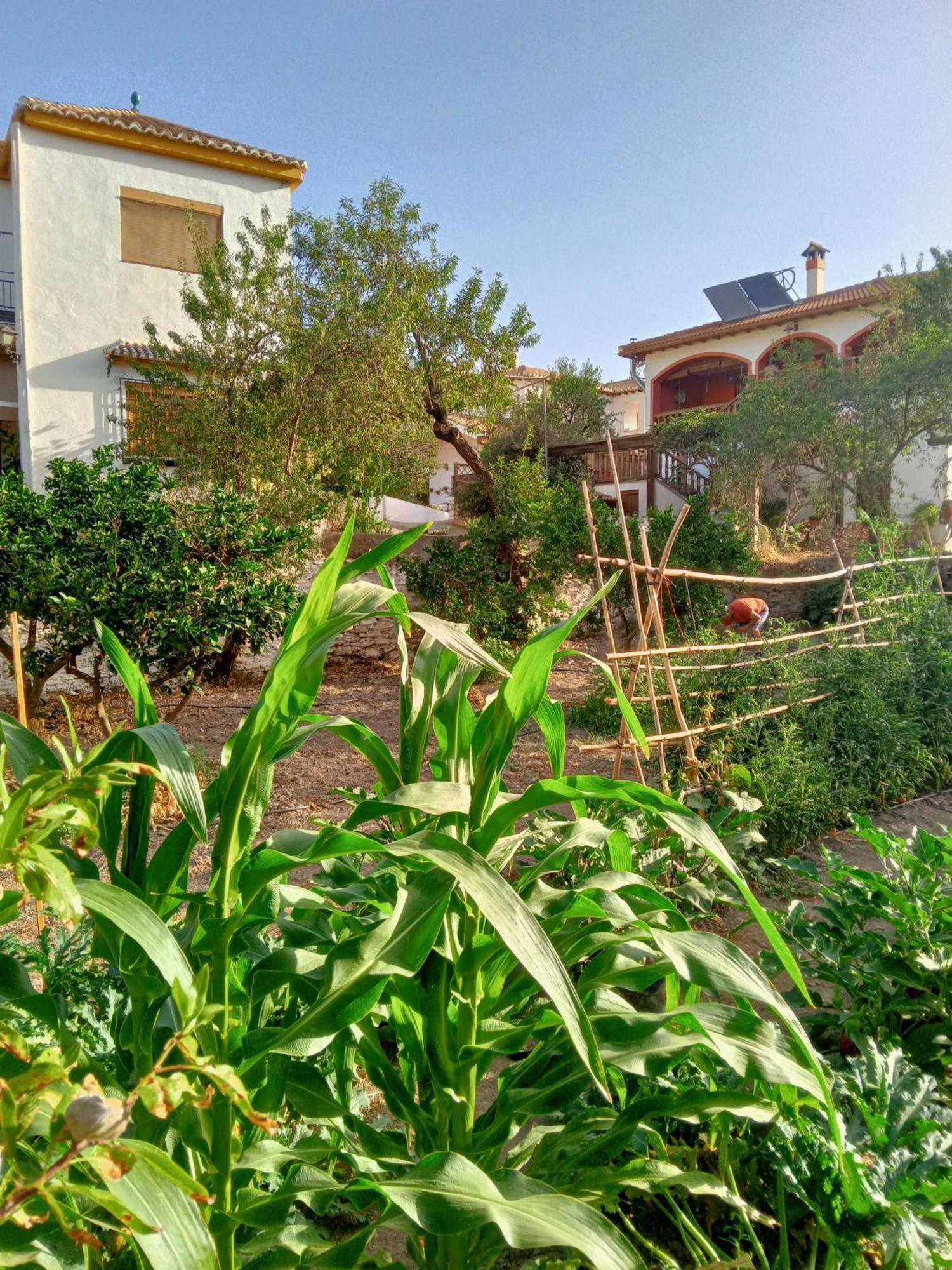 UgijarTuguest Hortichuela House别墅 外观 照片